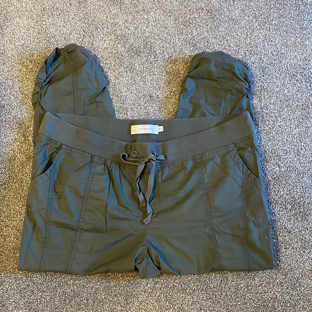 Torrid pants